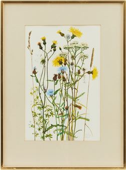 Sommarblommor - Carin Ax