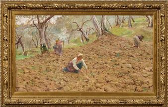 La raccolta delle patate - Adolfo Tommasi