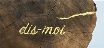 Pierre Petit: Muet, Nous ne le Sommes Pas - Galerie Odile Ouizeman