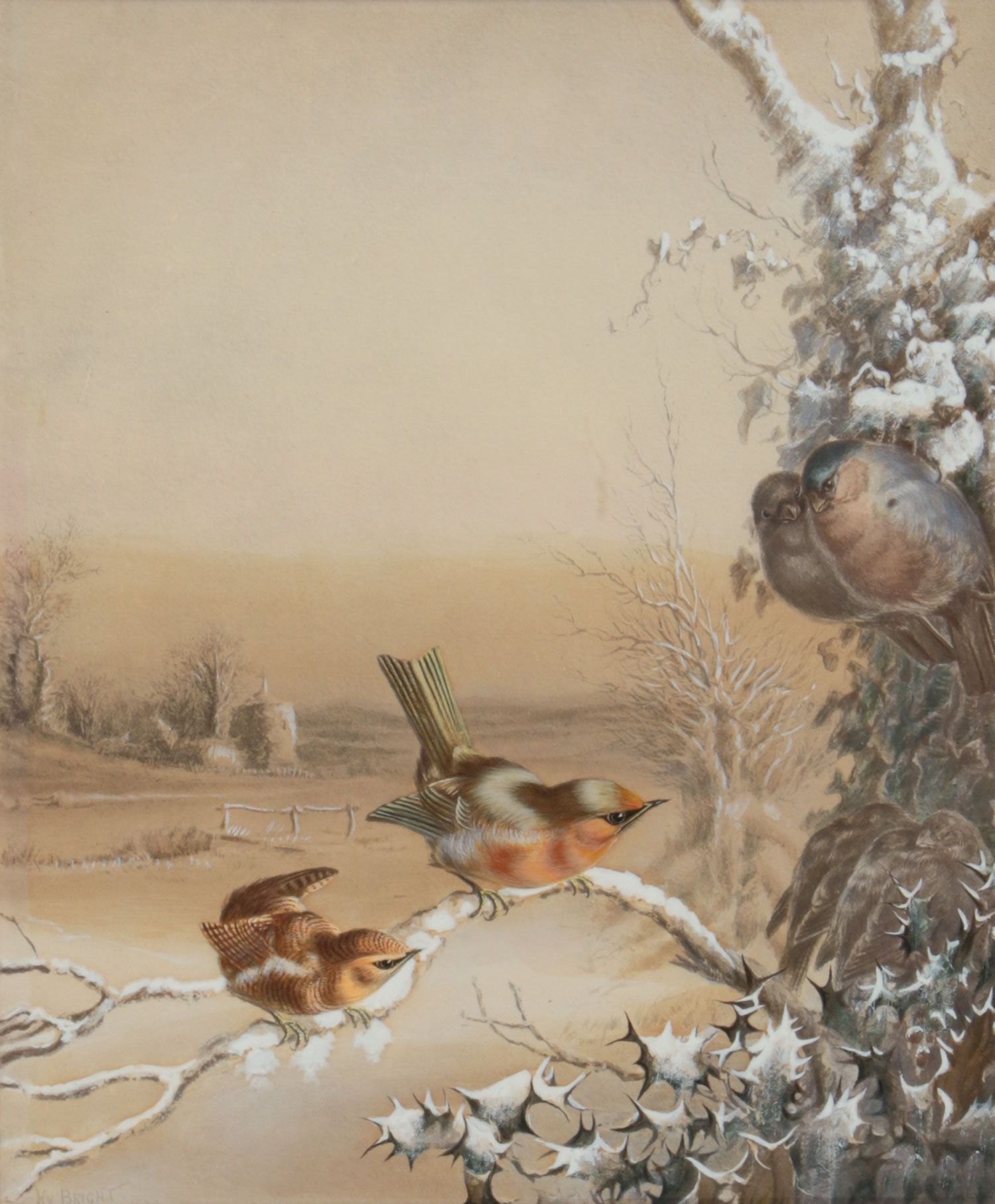 Artwork by Harry Bright, BIRD STUDY, Made of WATERCOLOUR DRAWING