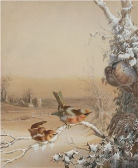 BIRD STUDY - Harry Bright