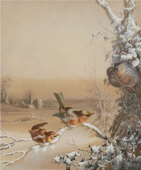 BIRD STUDY - Harry Bright