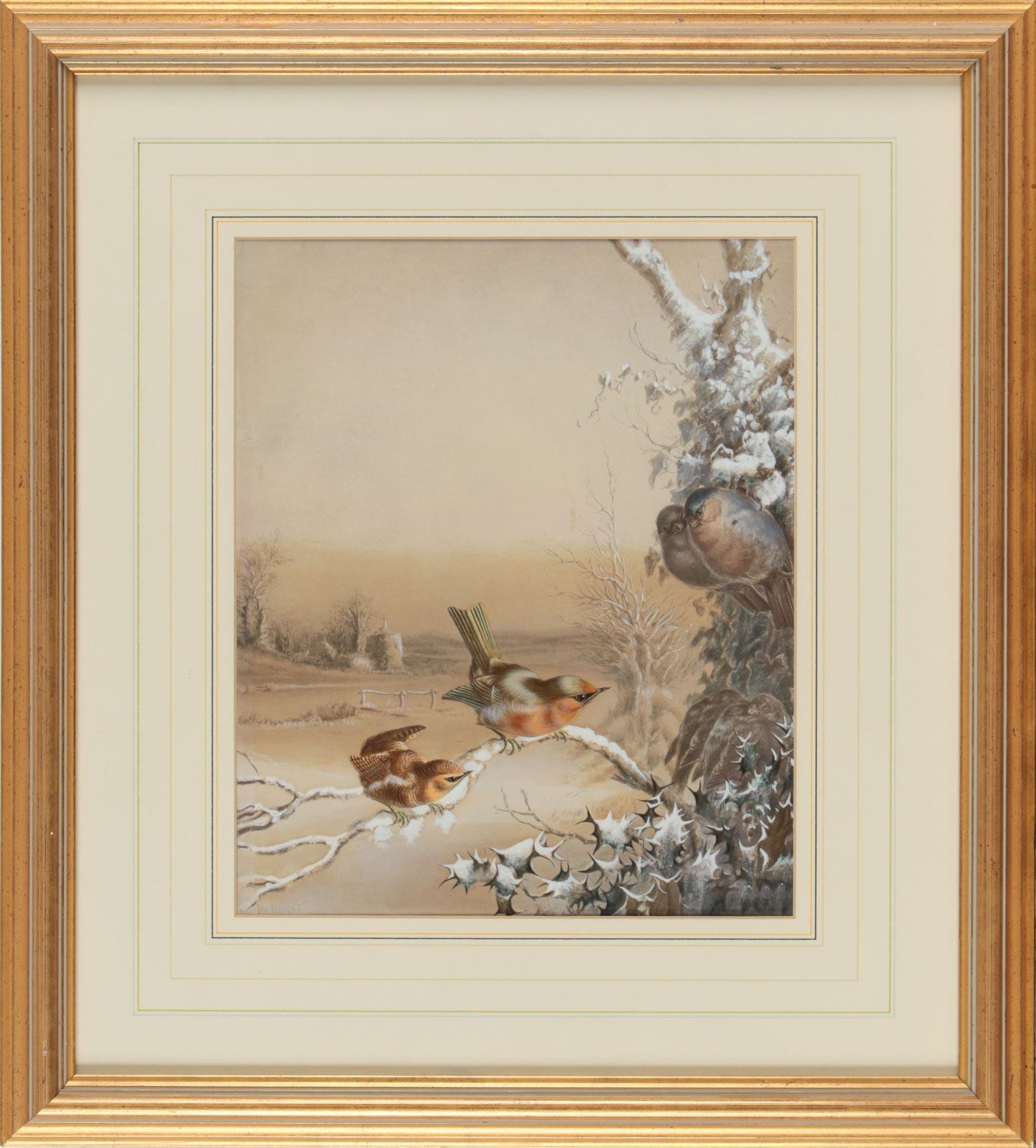 Artwork by Harry Bright, BIRD STUDY, Made of WATERCOLOUR DRAWING