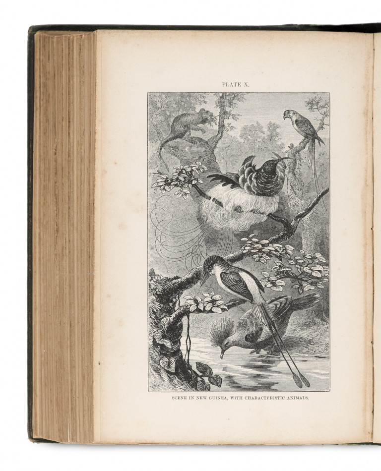 Alfred Russel Wallace The Geographical Distribution Of Animals 1876 