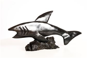 Shark - Richard Gough