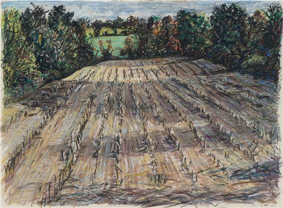 Cornstalks - Jon Imber