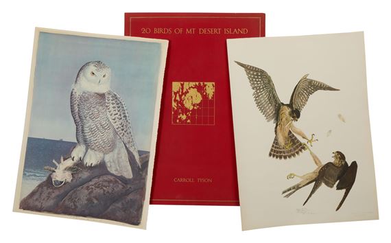 Twenty Birds of Mt. Desert Island - Carroll Sargent Tyson