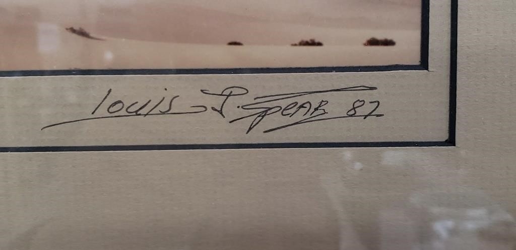 Artwork by Louis P. Spear, Louis P. Spear "Death Valley" photograph, Made of photograph