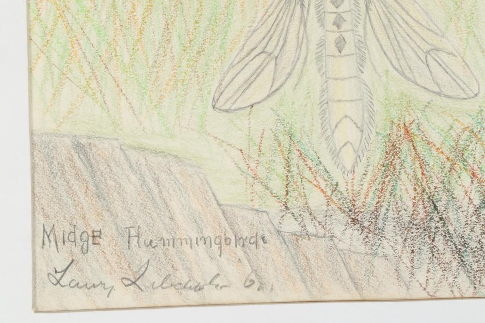 Lawrence Lebduska | snail and moths, and insect and hummingbirds in a ...