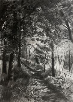 Shaded Woodland Path - Andy Hawkins