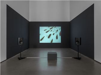 Birgit Brenner & Ricarda Roggan: Films - Galerie Eigen + Art, Berlin