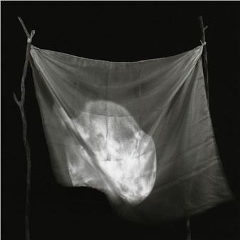 Patricia Lagarde and Byron Ryono: Forma pura / pure form - Jack Fischer Gallery