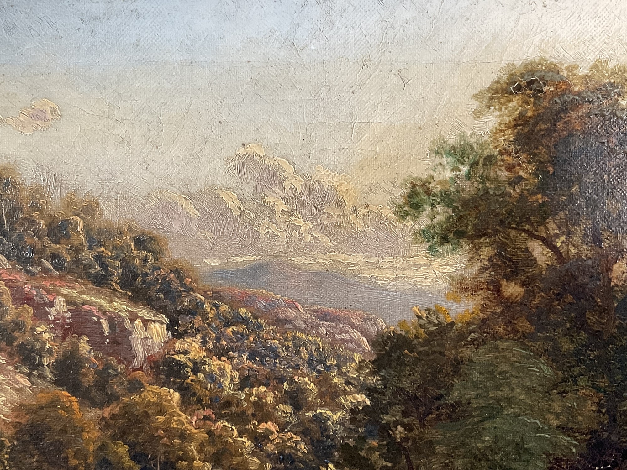 Thomas Spinks | Thomas Spinks 19th Century oil on canvas - An extensive ...
