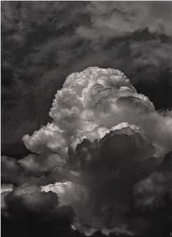 Pointcloud (Trang) - Joanie Lemercier