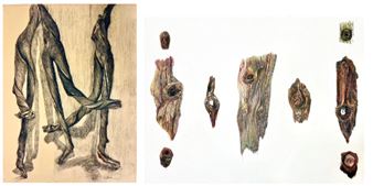 Wendy Shalen: Portraits of Nature, Then & Now - Prince Street Gallery