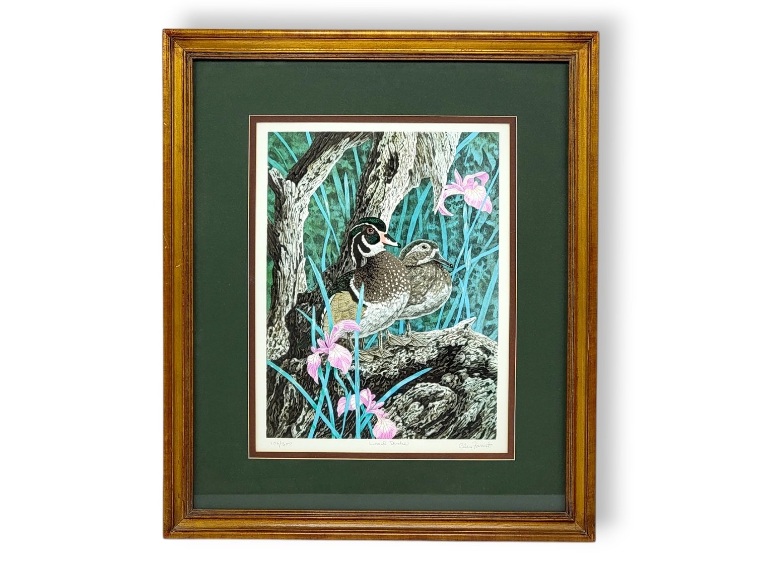 Artwork by Chris Forrest, Wood Ducks, Made of print