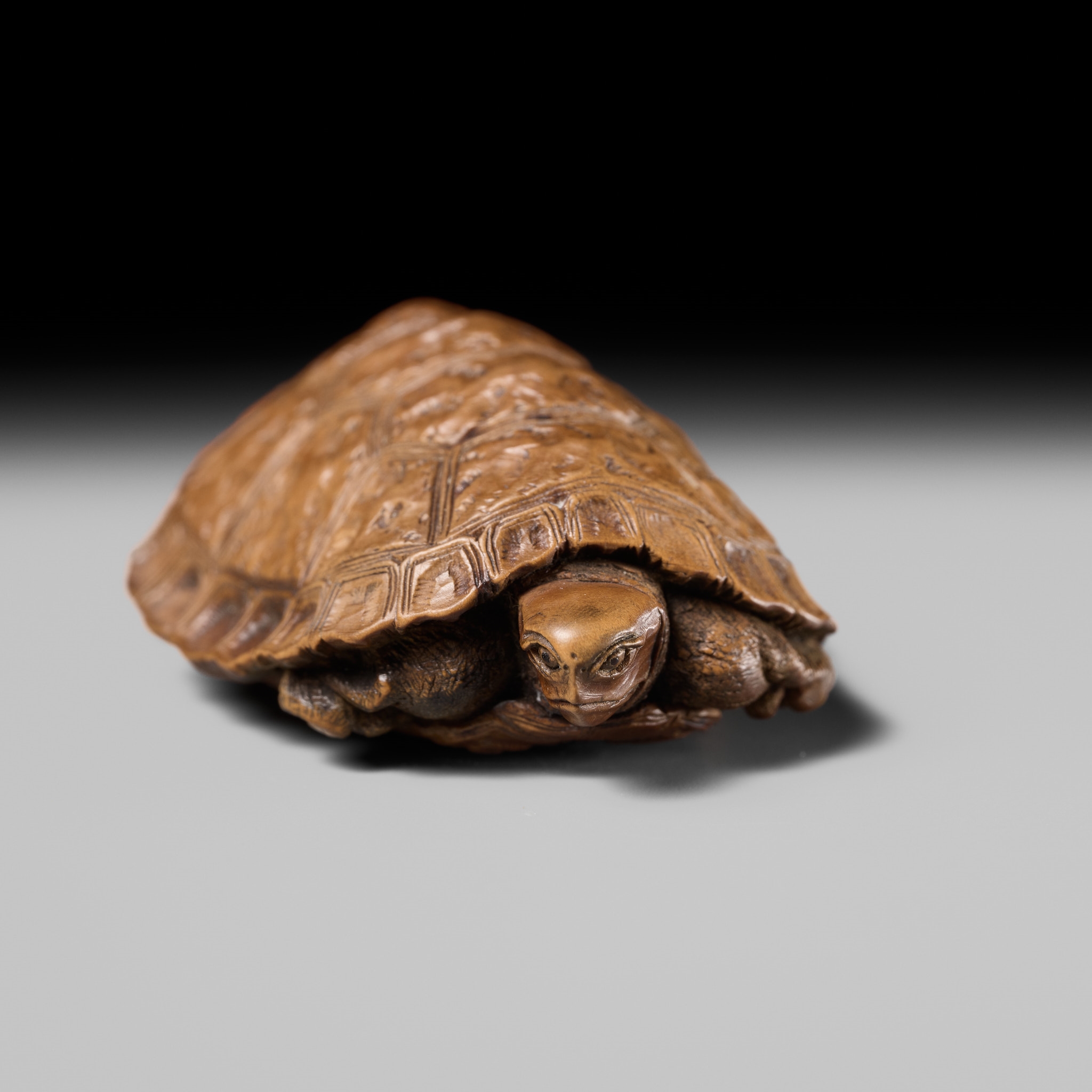 Hidari Issan | HIDARI ISSAN: A FINE WOOD NETSUKE OF A TORTOISE | MutualArt
