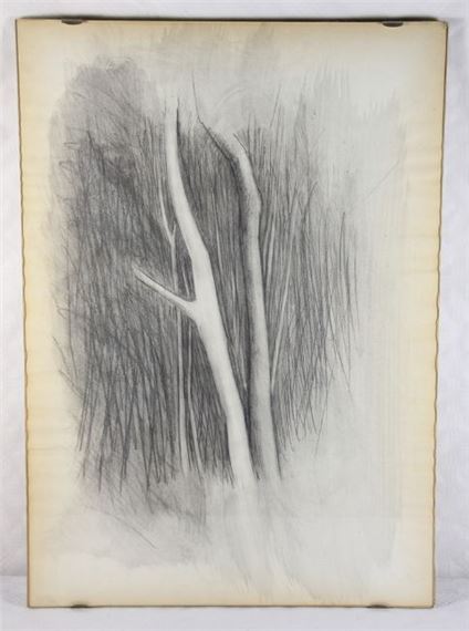 2 helle Baumstämme vor unbestimmtem Hintergrund - Rudolf Wachter