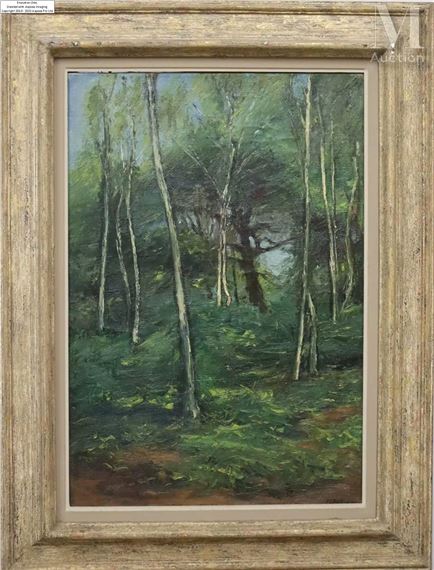 Scène de forêt