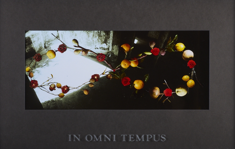Artwork by Megan Jenkinson, In Omni Tempus, Made of Cibachrome collage with sand