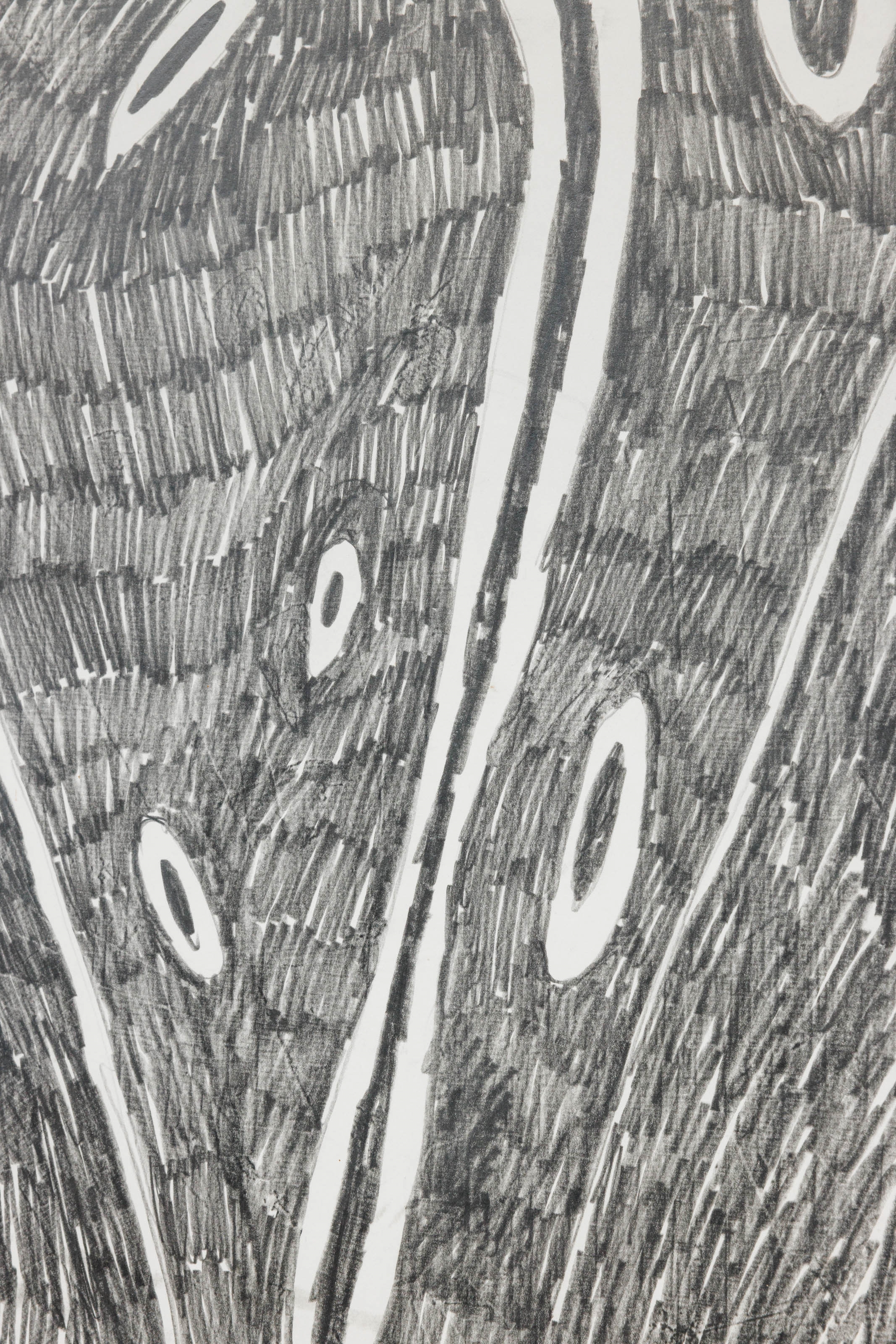 Artwork by Nicholas Pope, Untitled, Made of pencil