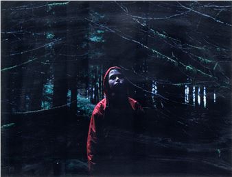 Untitled, 2005 - Martin Healy