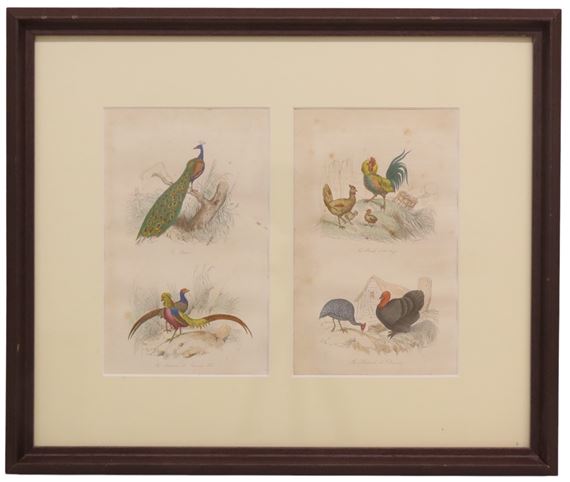 Victor Adam for Achille Comte, “The Book of Birds” London by Victor Adam, 1841