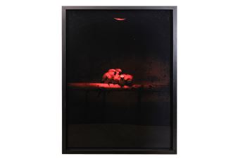 A REALISED DREAM - Robert Zhao Renhui