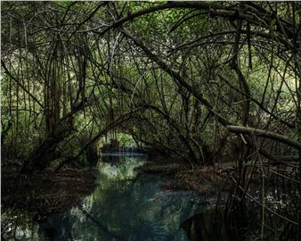 A Global Perspective