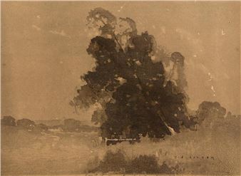 Dora Creek - J.J. Hilder