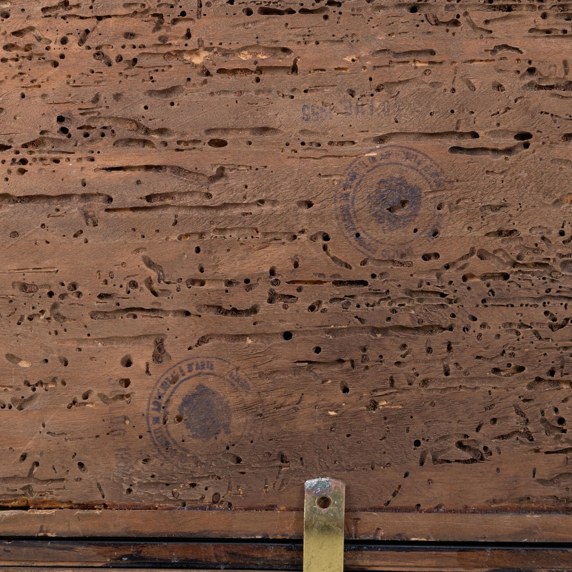 Artwork by Francesco del Cossa, Portrait of a Man, Head and Shoulders, Wearing a Black Cap, Made of Oil on panel