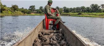 Sony World Photography Awards Exhibition 2025 - Somerset House