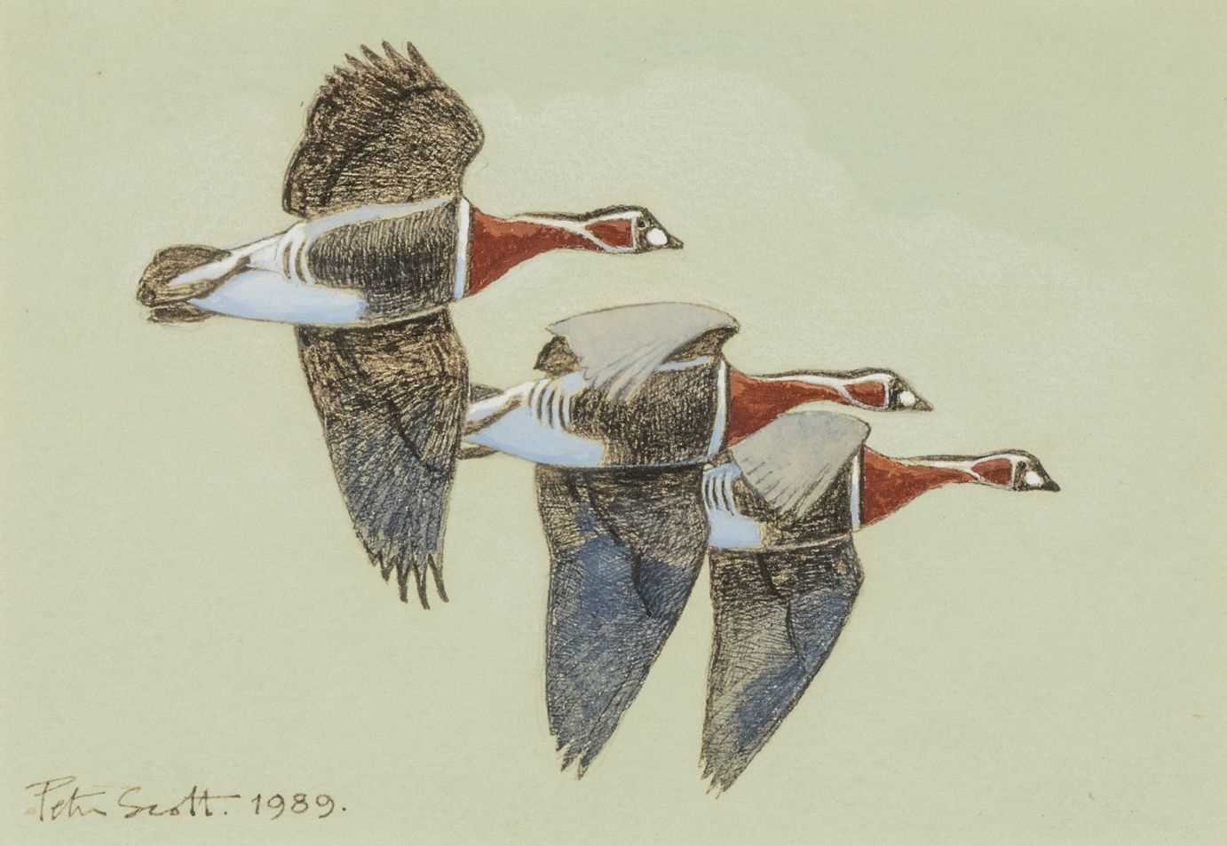 Peter Markham Scott | Three Red Breasted Geese (1989) | MutualArt