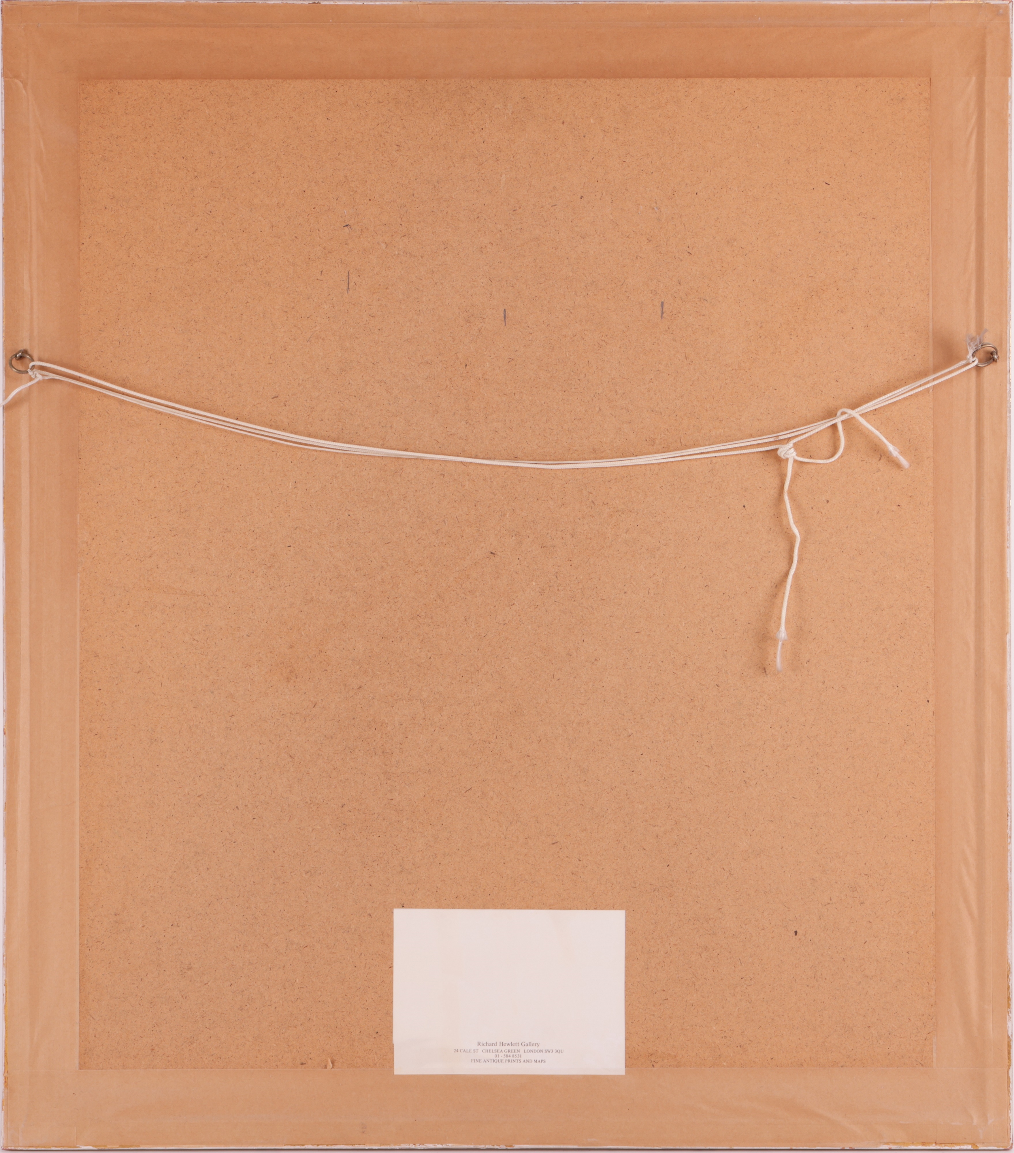 Artwork by Basilius Besler, Two hand-coloured engravings from Hortus Eystettensis, Made of hand-coloured engravings