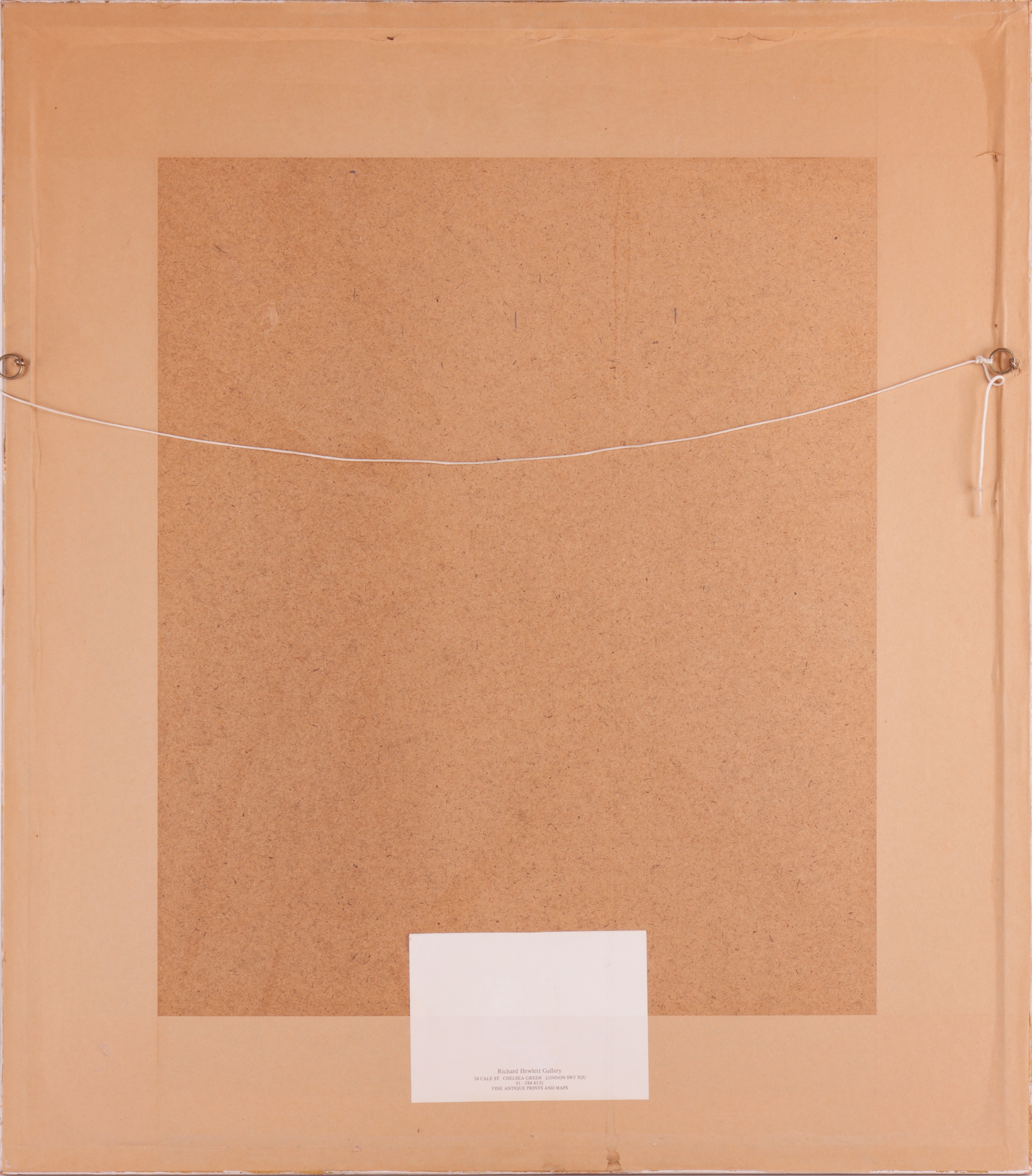 Artwork by Basilius Besler, Two hand-coloured engravings from Hortus Eystettensis, Made of hand-coloured engravings