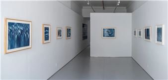 Fritz Horstman: Raking Light - Planthouse