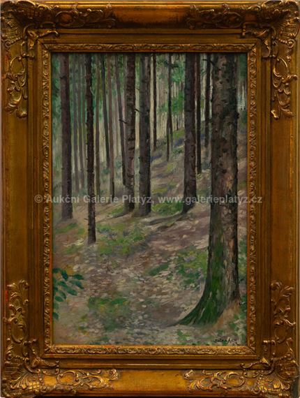 Partie pod Blaníkem by Augustin Satra