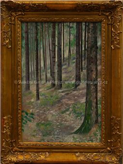 Partie pod Blaníkem - Augustin Satra