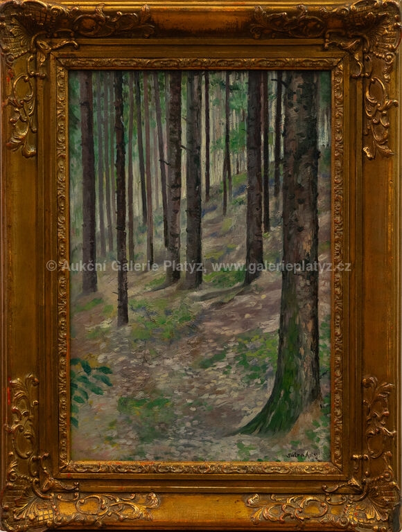 Artwork by Augustin Satra, Partie pod Blaníkem, Made of oil on cardboard