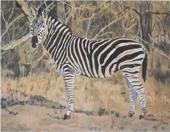 ZEBRA - Colin Bates
