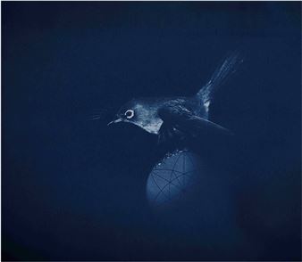 EQUIPOISE - Sean Ranger