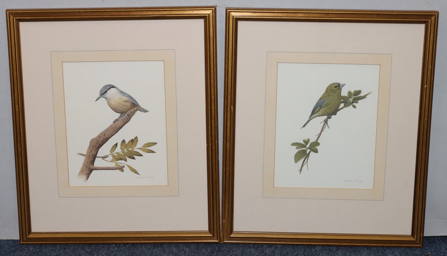 Simon Turvey | pair of watercolours | MutualArt