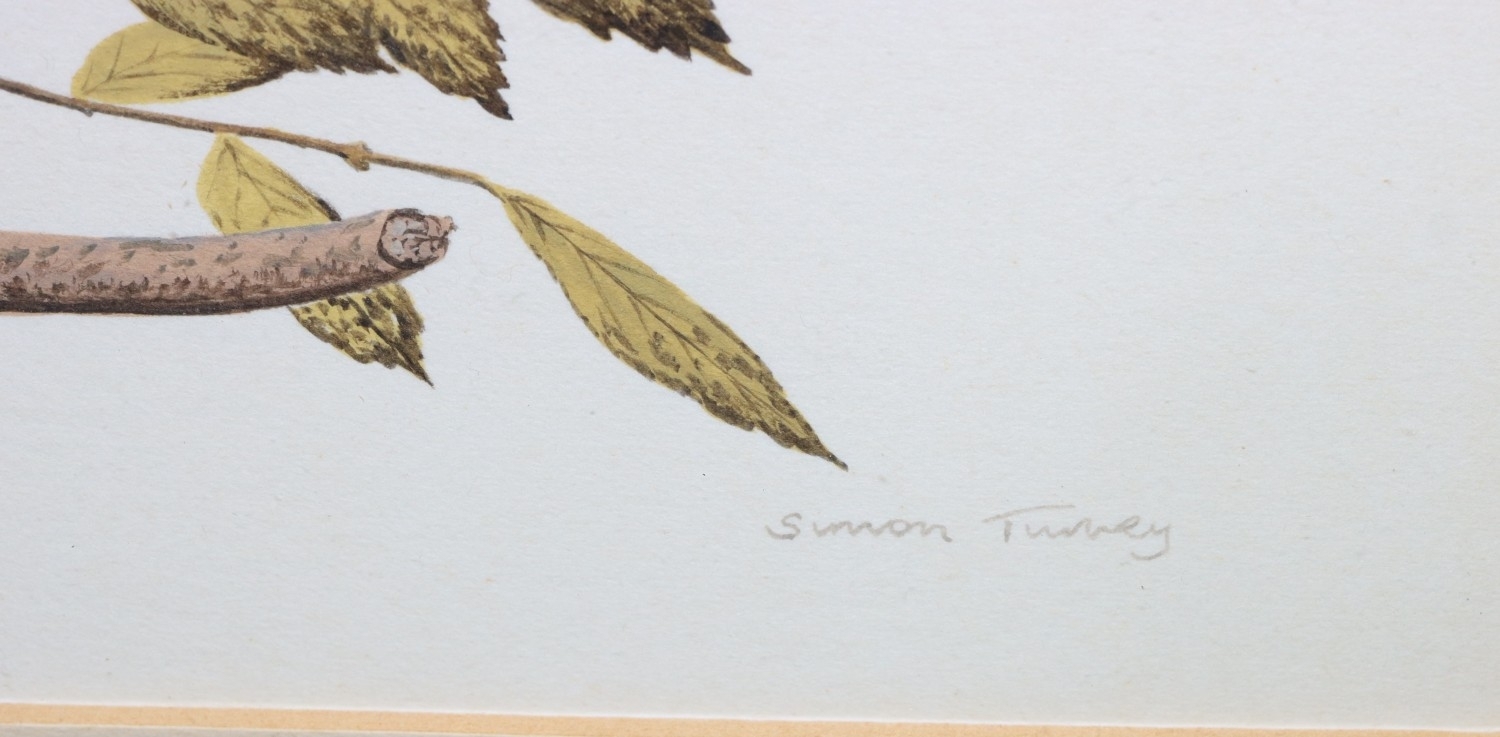 Simon Turvey | pair of watercolours | MutualArt