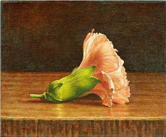 Carnation - Tzu-Chi Yeh