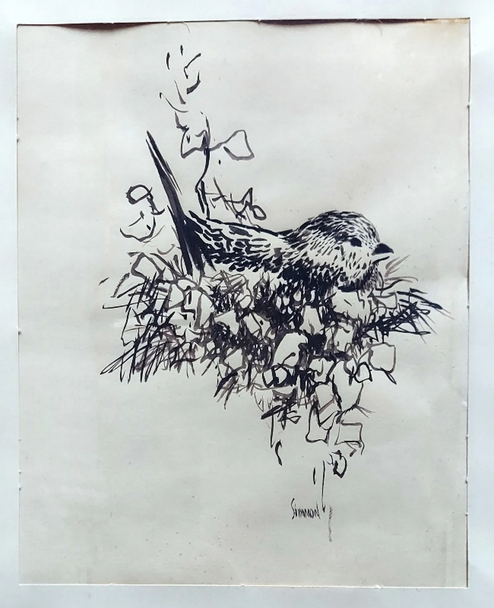 Vivian Davis Shimmon | Linnet - Lady in Waiting (Circa 1950) | MutualArt