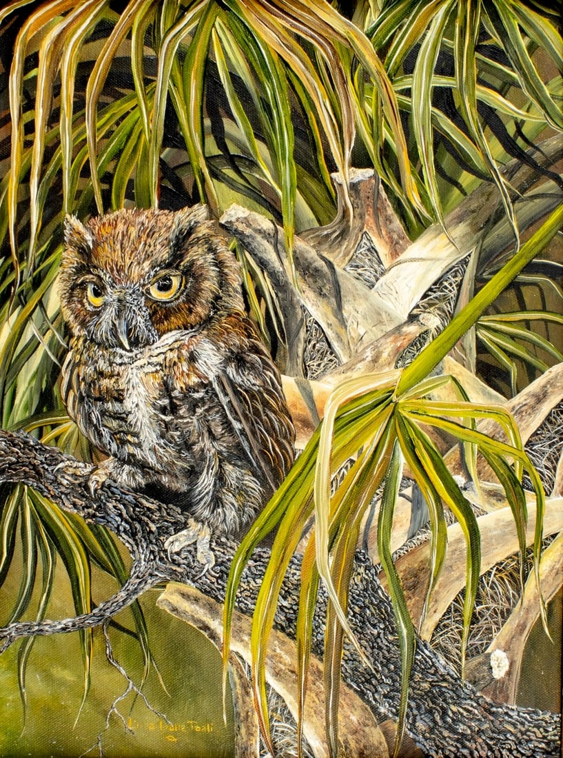 Artwork by Linda K. Della Poali, Owl, Made of oil on canvas