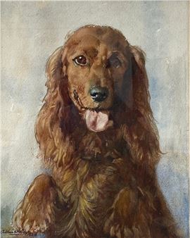 a mid 20th century watercolour portrait of a cocker spaniel - Arthur Gay