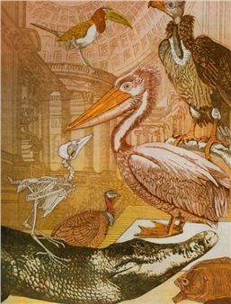 Annemarie Petri: Rara Avis - Childs Gallery
