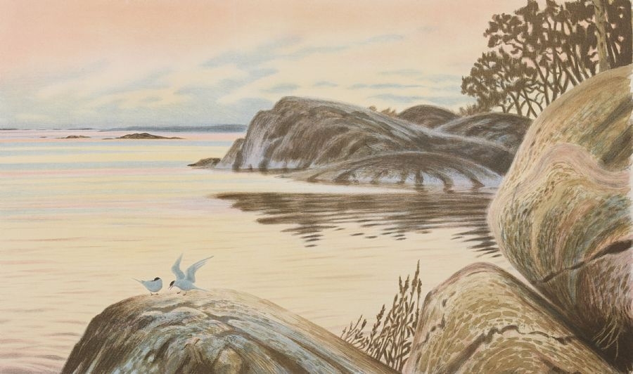 Artwork by Lars Holm, Archipelago, Made of Lithograph in colors