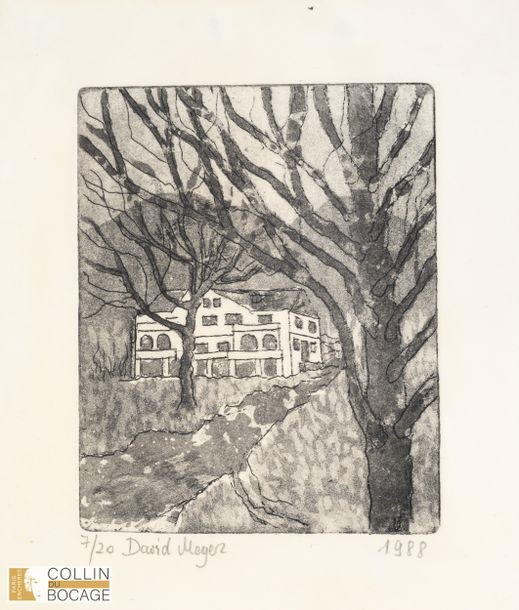 Artwork by David Meyer, "Landscape, Made of etching on paper under glass